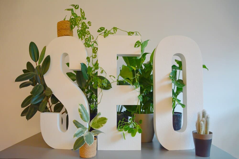 Content & Digital Management